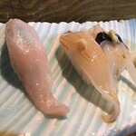 寿し処 まつ元 - 八角　いか