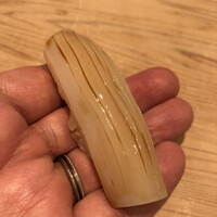 紀尾井町 三谷 - 墨烏賊