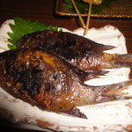 かじしか - あぶってかも