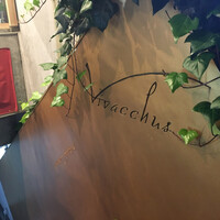 ヴィヴァッカス - 
