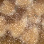 にい留 - 細かい気泡