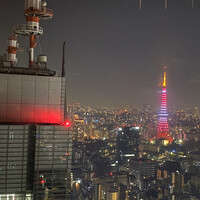 Bar&Lounge MAJESTIC -  Bar&Lounge MAJESTIC -