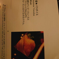 Bar&Lounge MAJESTIC -  Bar&Lounge MAJESTIC -