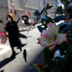 かりい乃 - 私きれい～?