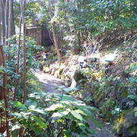 伊豆高原 城ケ崎温泉 花吹雪 - 