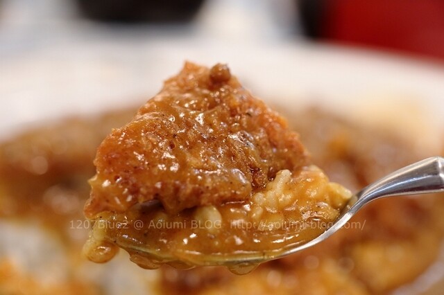 Jotou Curry Hon Ten photo 4