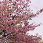 銀座うかい亭 - 