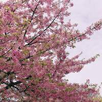 銀座うかい亭 - 