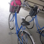 たねや日牟禮茶屋 - 臨時☆真由パンダ号！