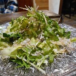 おおげつ - ジャコ葱サラダ