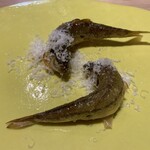 bb9 - 岐阜中津川の大山さんのもろこ