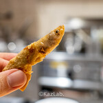 サンプリシテ - 