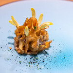 サンプリシテ - 