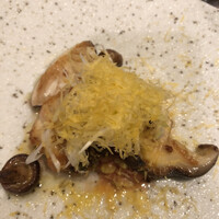 オッジ ダルマット 西麻布店 - 