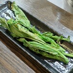 トリワイン ＰＩＫＯＳＨＨＨＵ - 菜の花かな？？