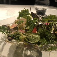 レフェルヴェソンス - 