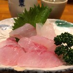 根岸家 - オニカサゴ