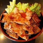 焼肉丼　たどん - スペシャル丼(特盛)