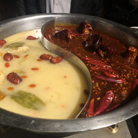 雪梅花 菜根譚 - 