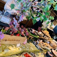 ゼックスウエスト サルヴァトーレ クオモブロス - 