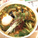 スープカレー トムトムキキル - 茄子ニラキーマ豆腐（辛さ７番）