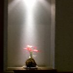 星月 - いたるところに花が飾られている