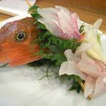 多助割烹 - カナガシラ(金頭)刺