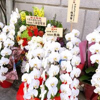 蛇の市 本店 - 