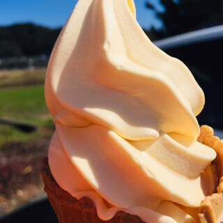 筑豊でおすすめの美味しいアイスクリームをご紹介 食べログ