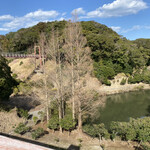 女良食堂 - 近くの椿公園でお散歩