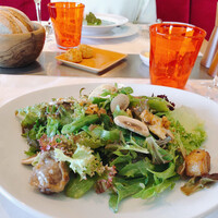 Benoit Alain Ducasse - 