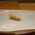 鮨 なんば - 白烏賊(36℃/19℃)