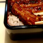 うなぎ 魚政 - 無加温うなぎ