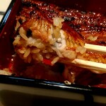 うなぎ 魚政 - 無加温うなぎ