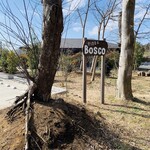 Bosco - 