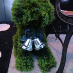 パティスリー カカオエット・パリ - ツリー犬１号