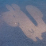 パティスリー カカオエット・パリ - お店前の道に映写されたリス