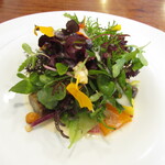 御影 ジュエンヌ - 2月の野菜畑・パルメジャーノチーズのスープで…