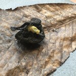 イル ギオットーネ ディ ピュー - 焦がしちゃつた？蓮根