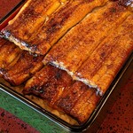 うなぎ 桜家 - うな重 2匹