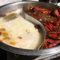 雪梅花 菜根譚 - 