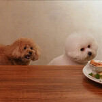 北出食堂 - キャンドルの炎を見つめて