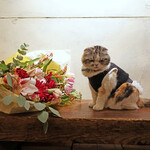 北出食堂 - 花束 & ミーちゃん