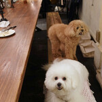 北出食堂 - 我が家のようにリラックス