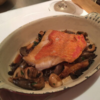 Benoit Alain Ducasse - 