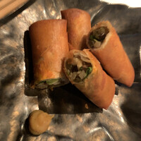 CINA New Modern Chinese - 