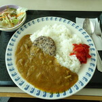 縄文 - 縄文バーグカレー1000円