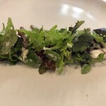 stesso e Magari CHIC - 2020/2