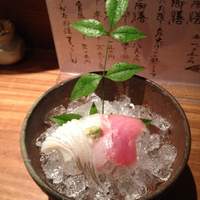 ろっこん - 刺身～