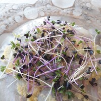 リストランテ アクアパッツァ - 